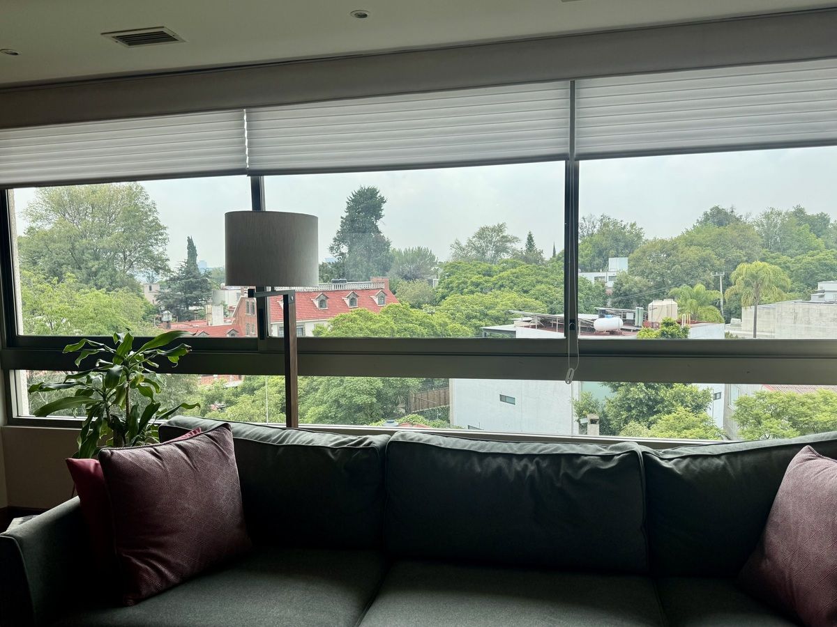 8 de 47: vista verde desde la sala