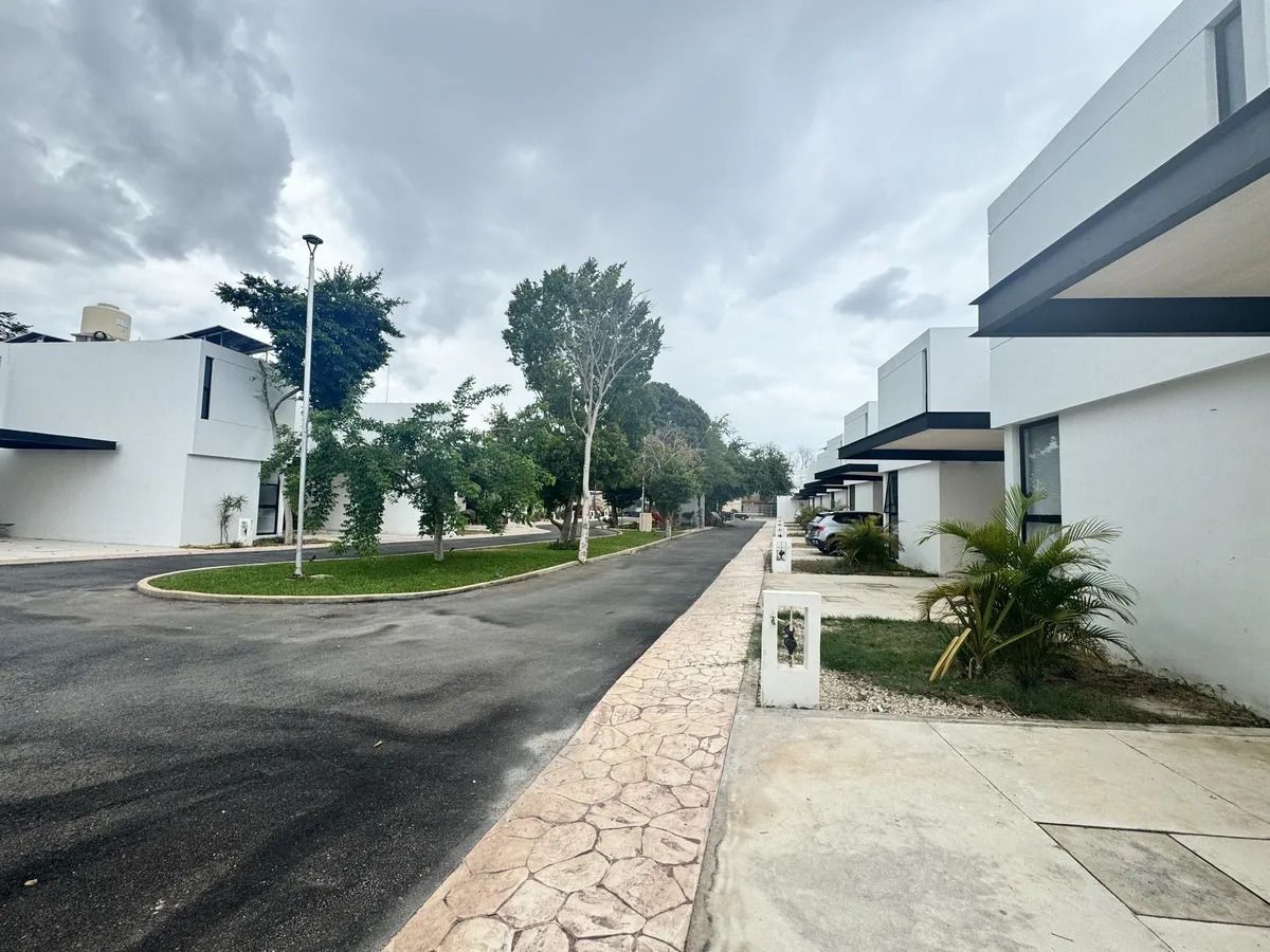 14 de 15