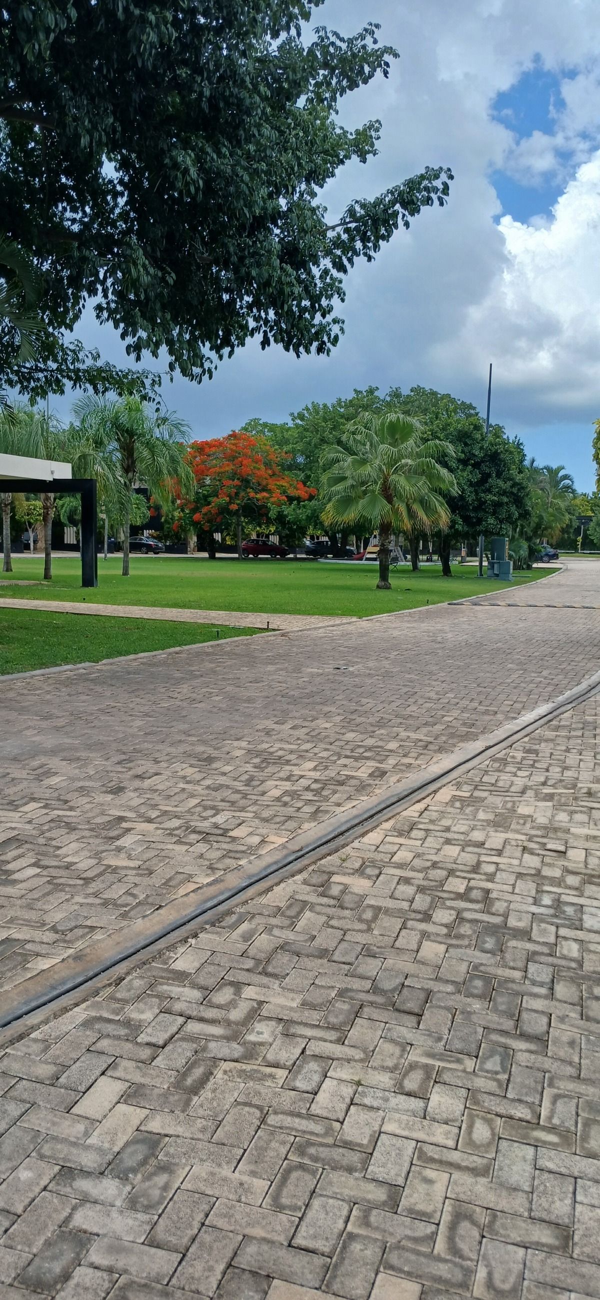 3 de 32