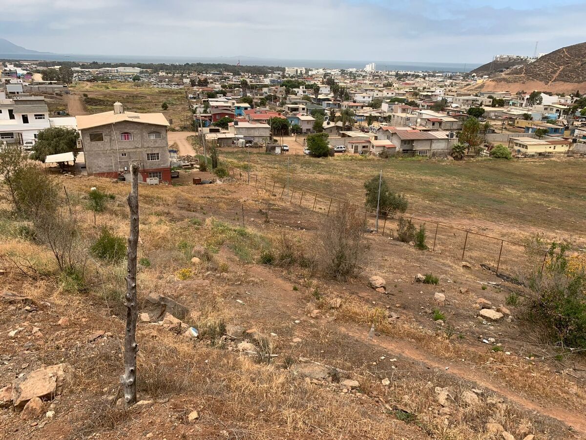 1 de 3