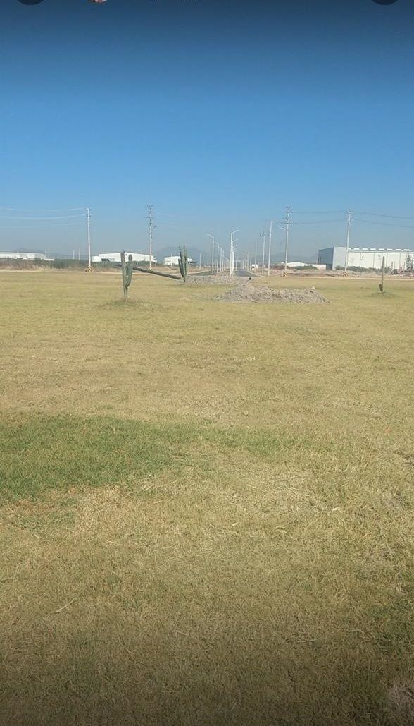 7 de 25