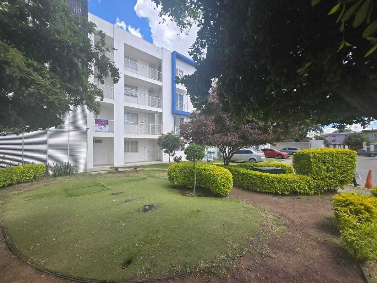 3 de 44