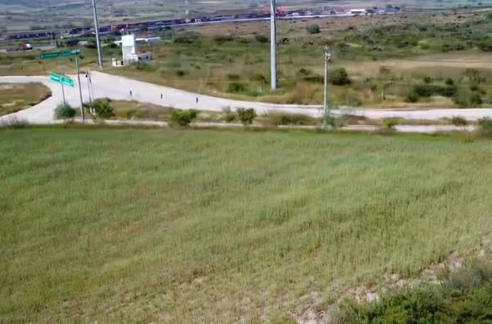5 de 10