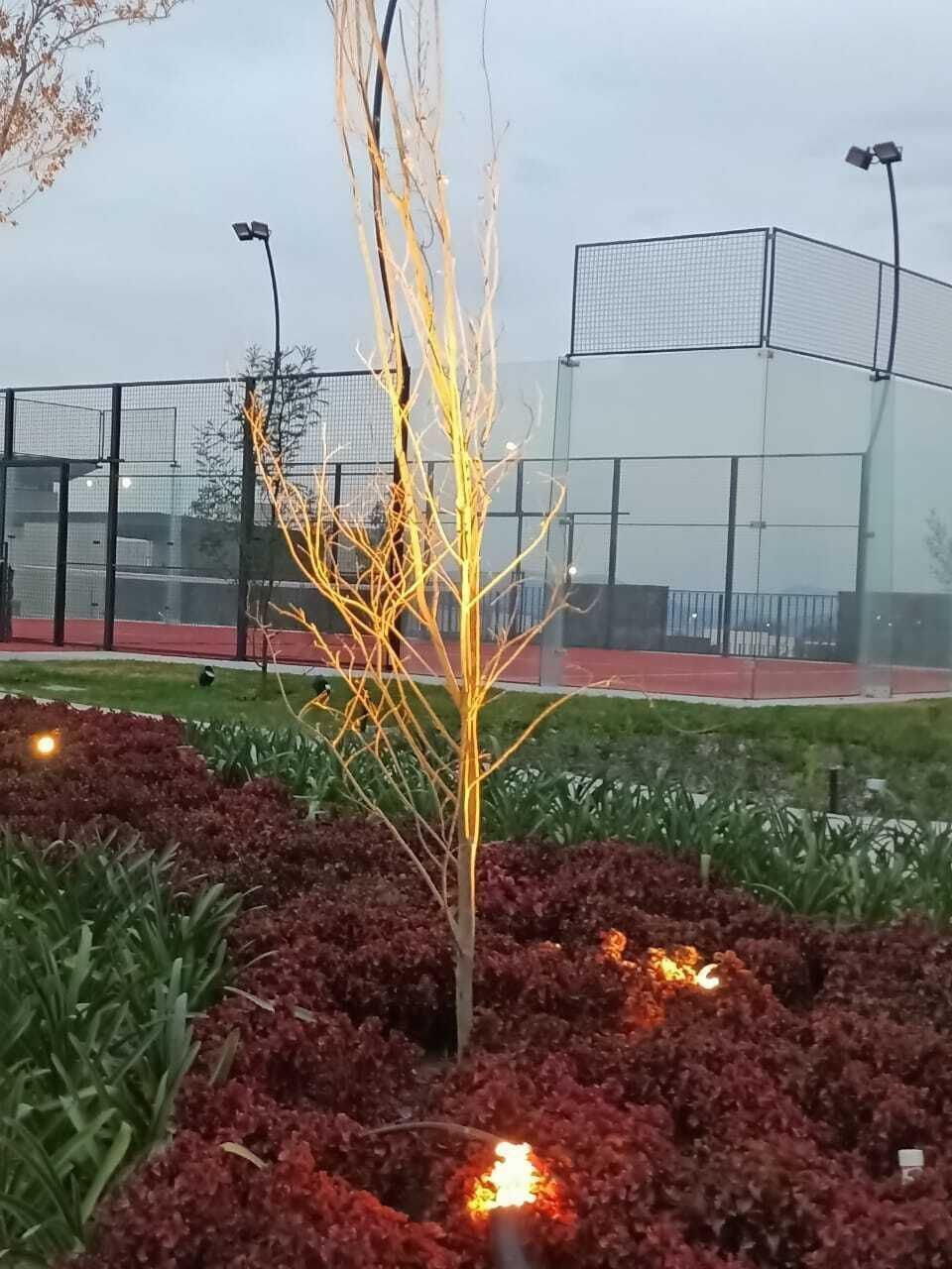 27 de 28