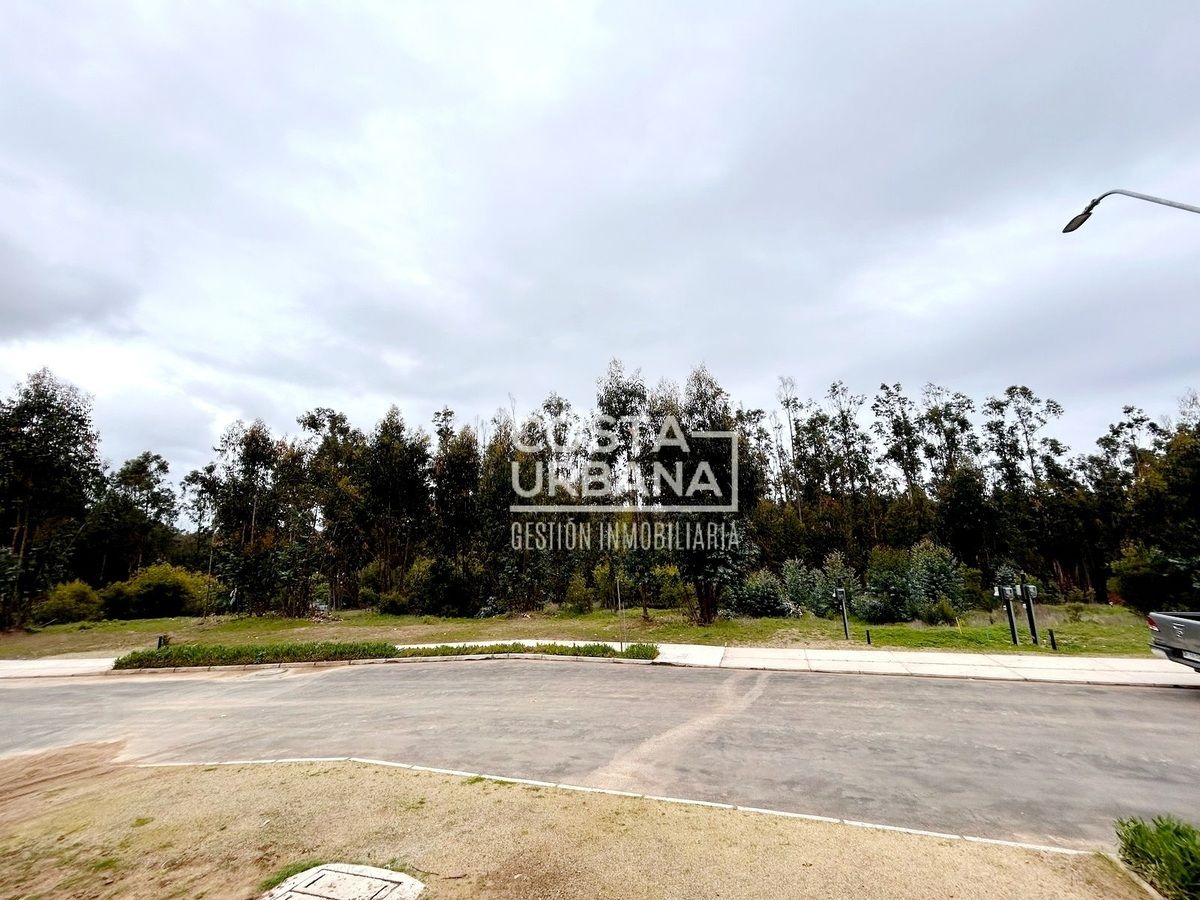 5 de 28