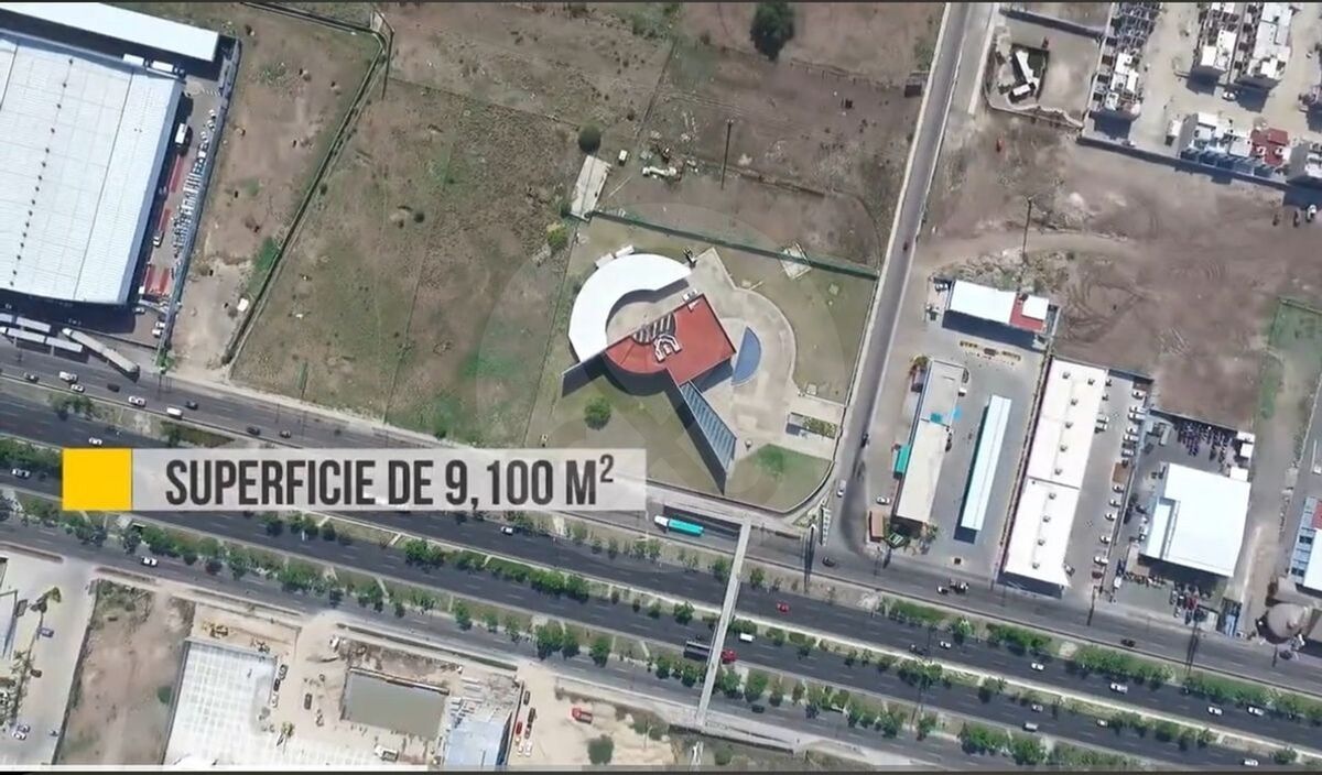 6 de 28