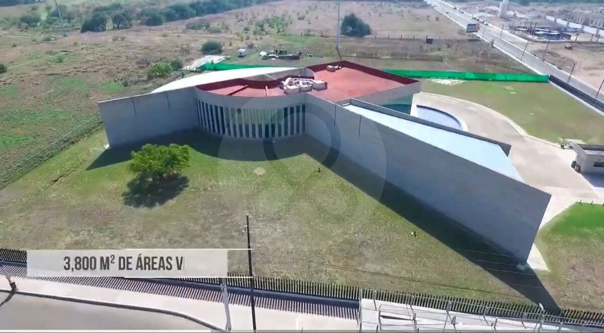 8 de 28