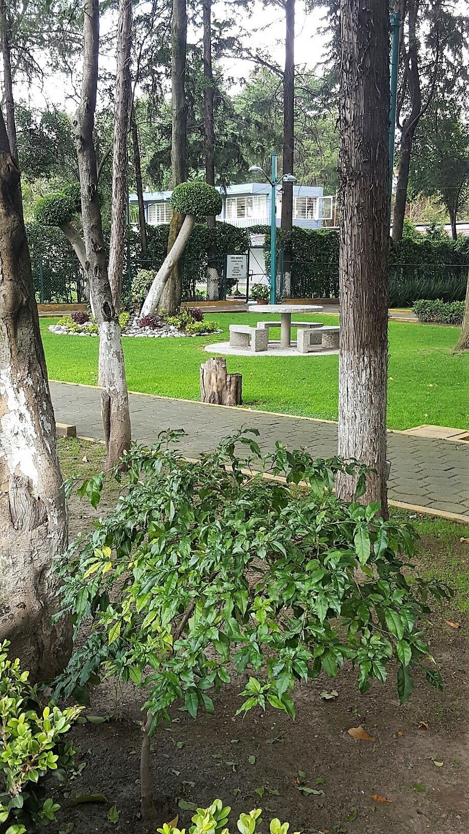 2 de 19
