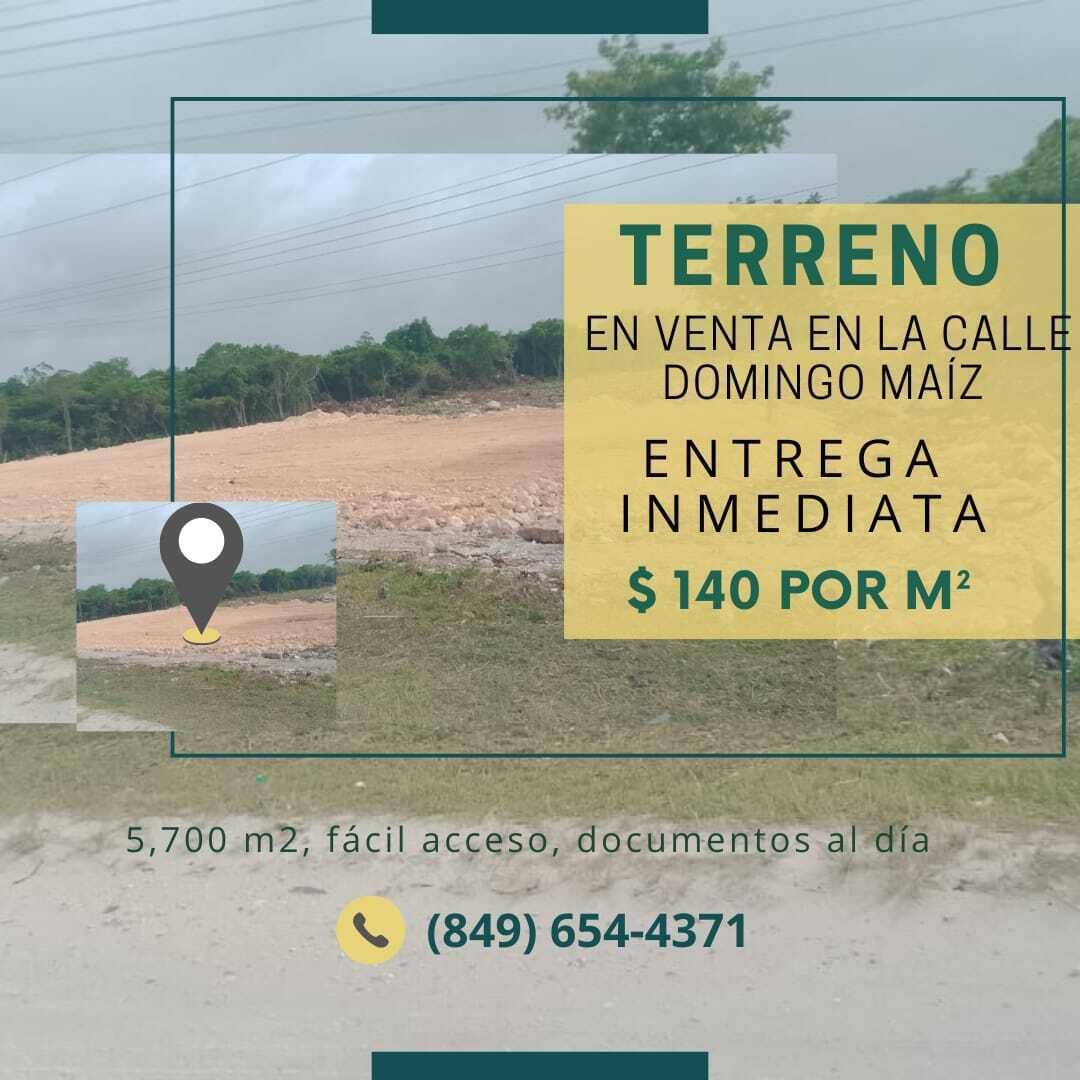 1 de 1