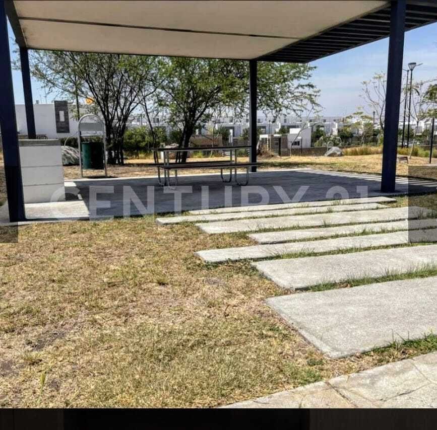4 de 17