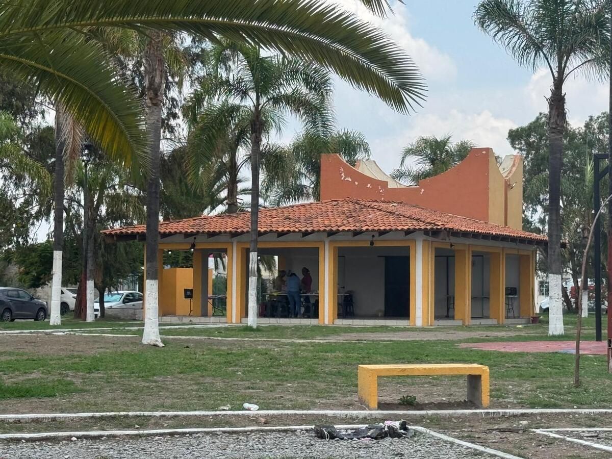 3 de 15
