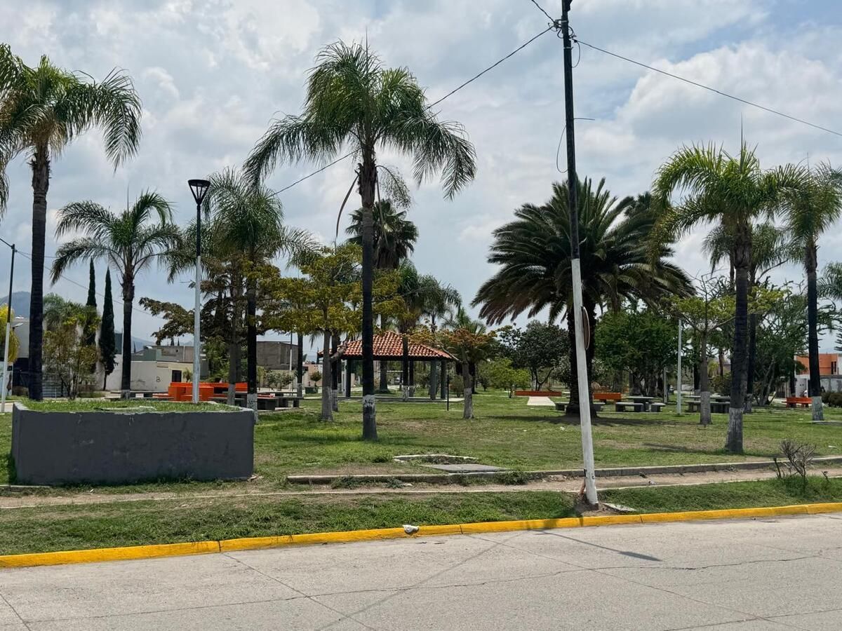5 de 15