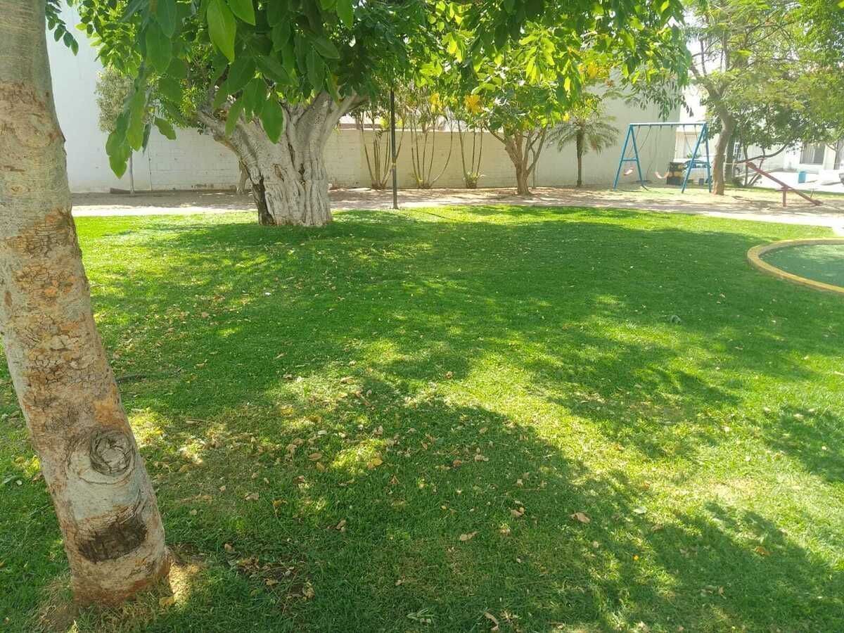 3 de 26