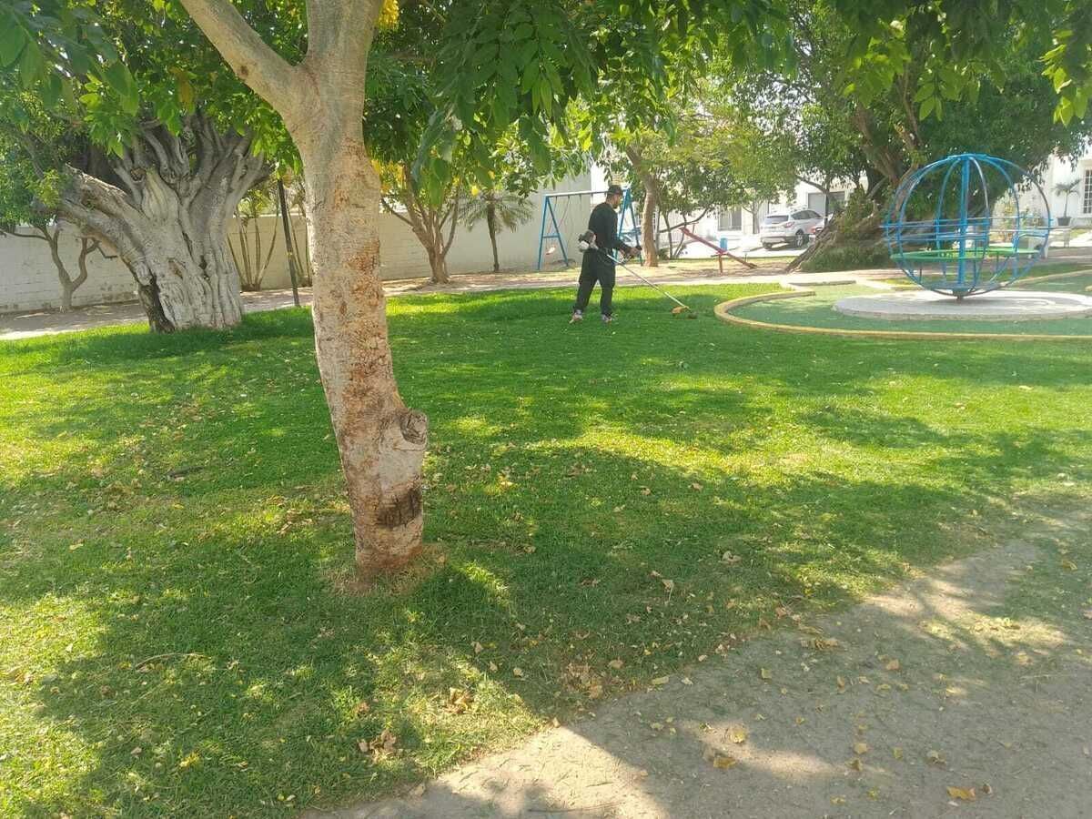 2 de 26