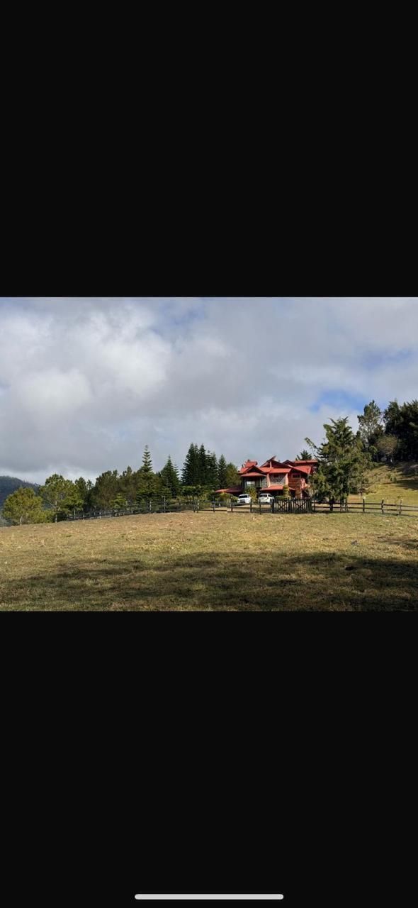 1 de 20