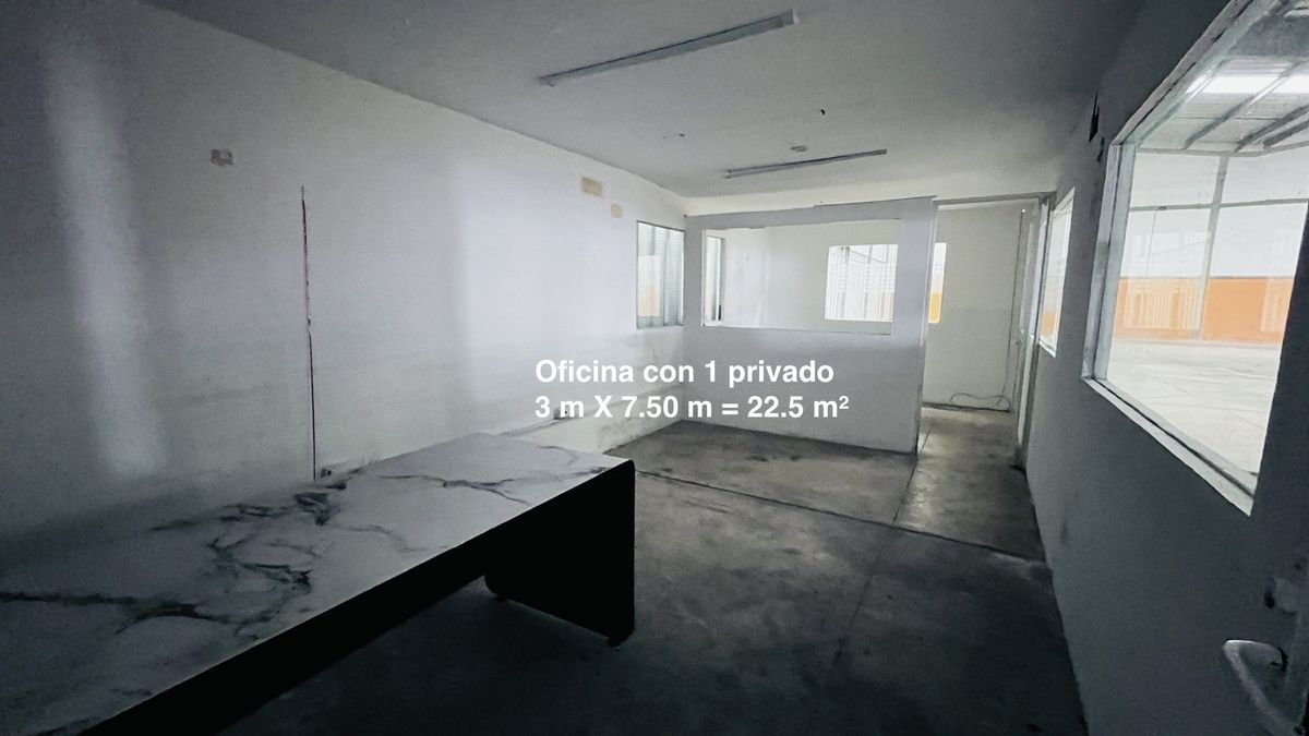5 de 12