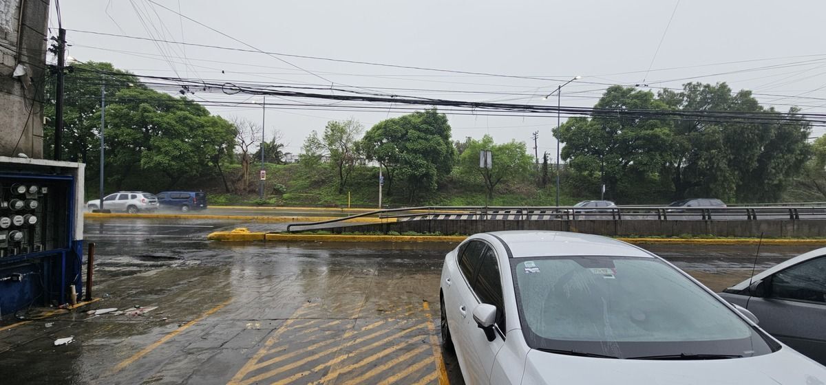10 de 11