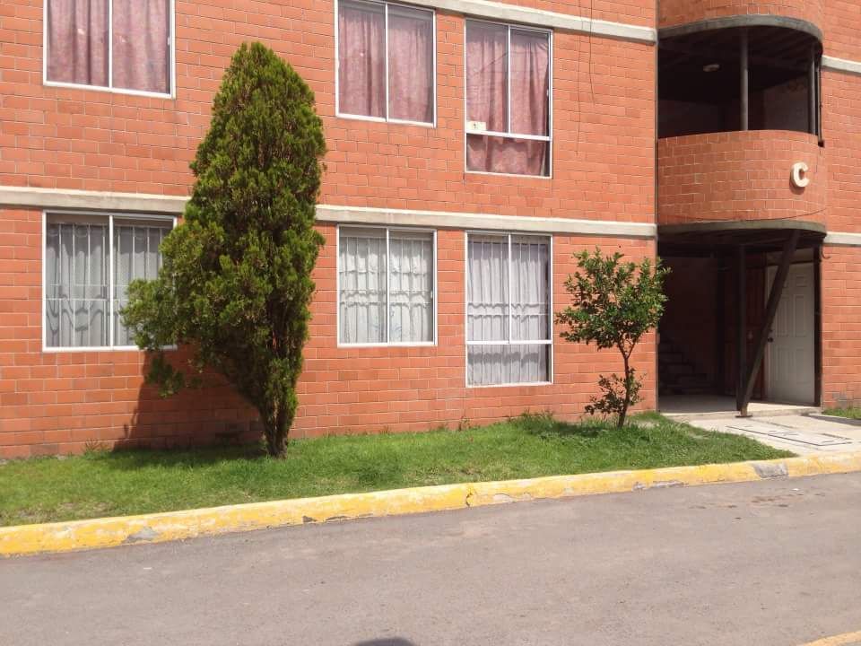 Imagen 1 de 6
