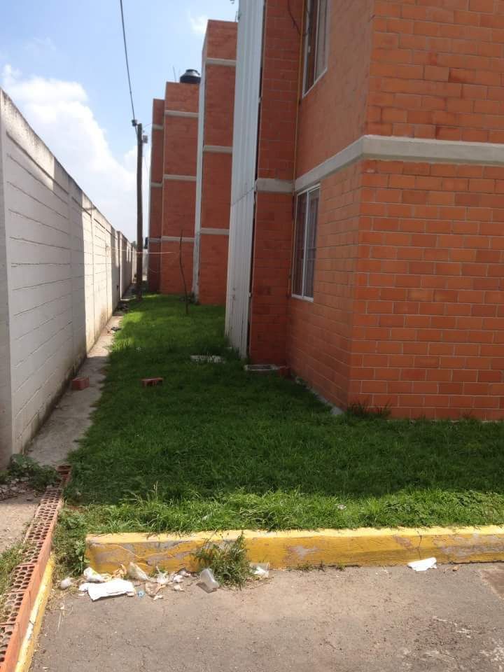 Imagen 2 de 6