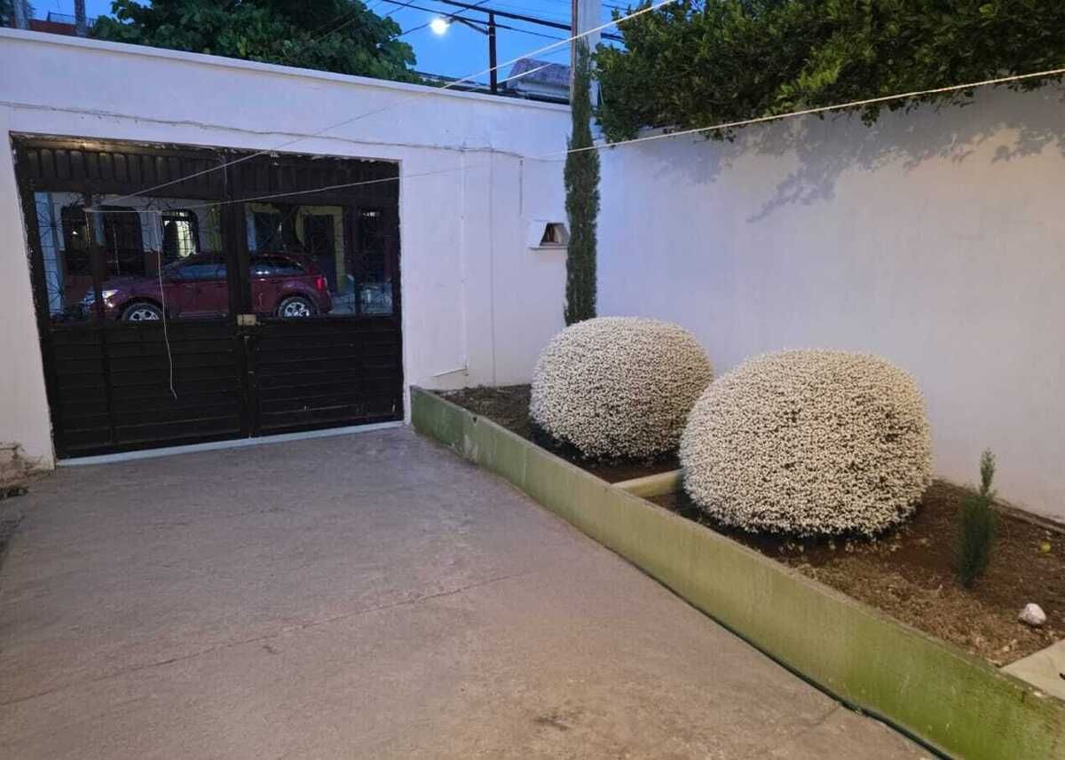 5 de 19