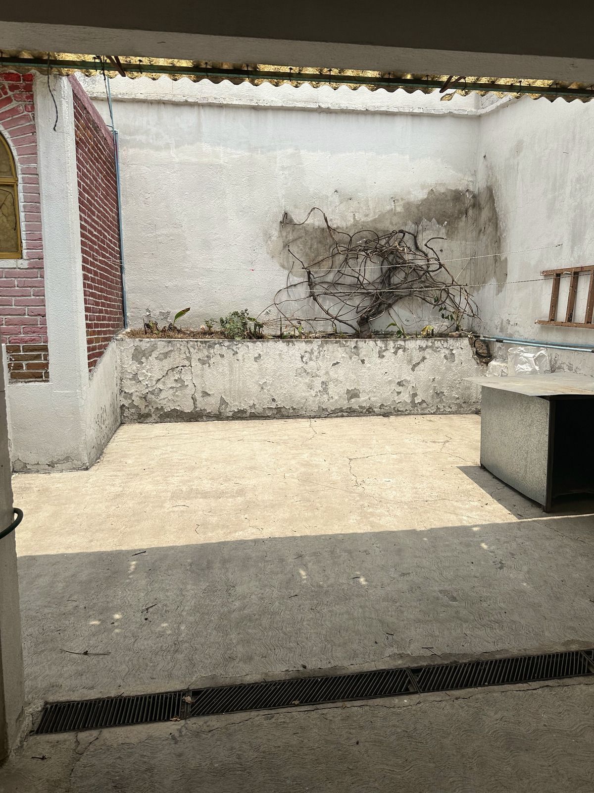 5 de 19