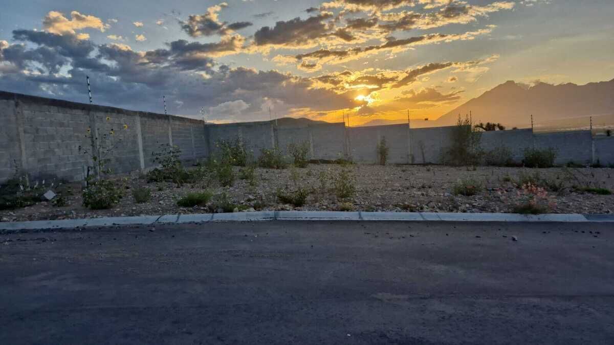 3 de 11