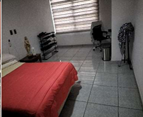Imagen 8 de 8
