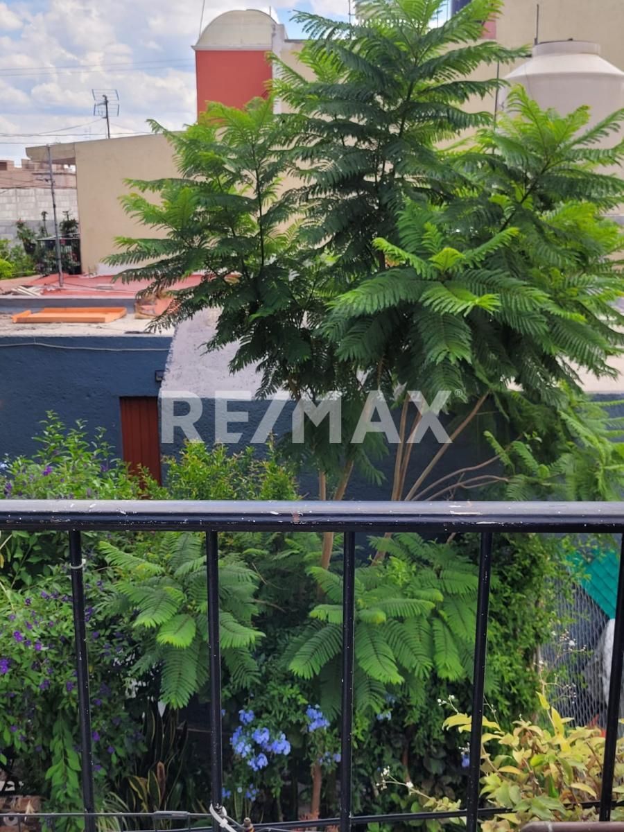 3 de 14