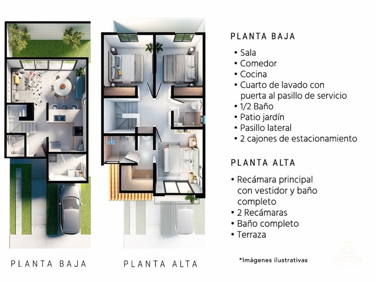 Imagen 6 de 10