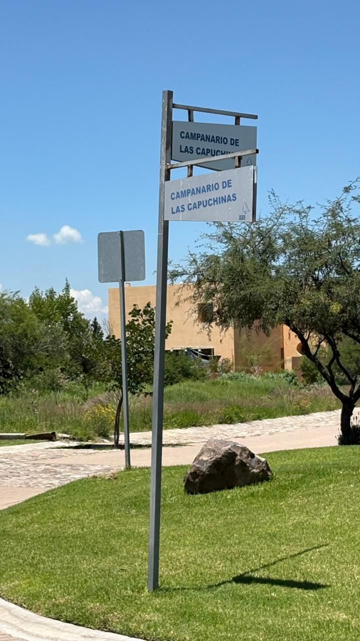 5 de 6