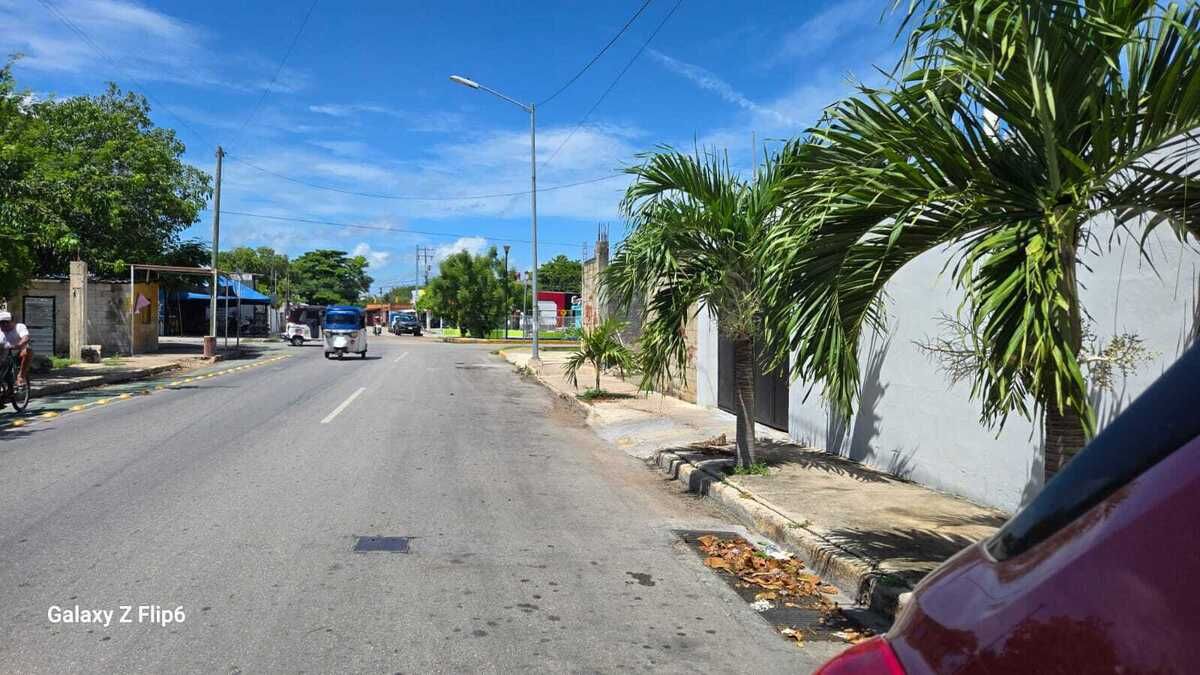 5 de 19