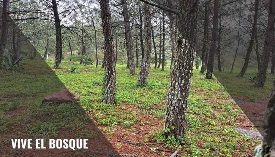 Land for sale in Tapalpa. - foto 1