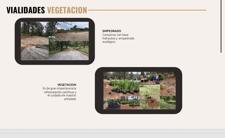 Land for sale in Tapalpa. - foto 5
