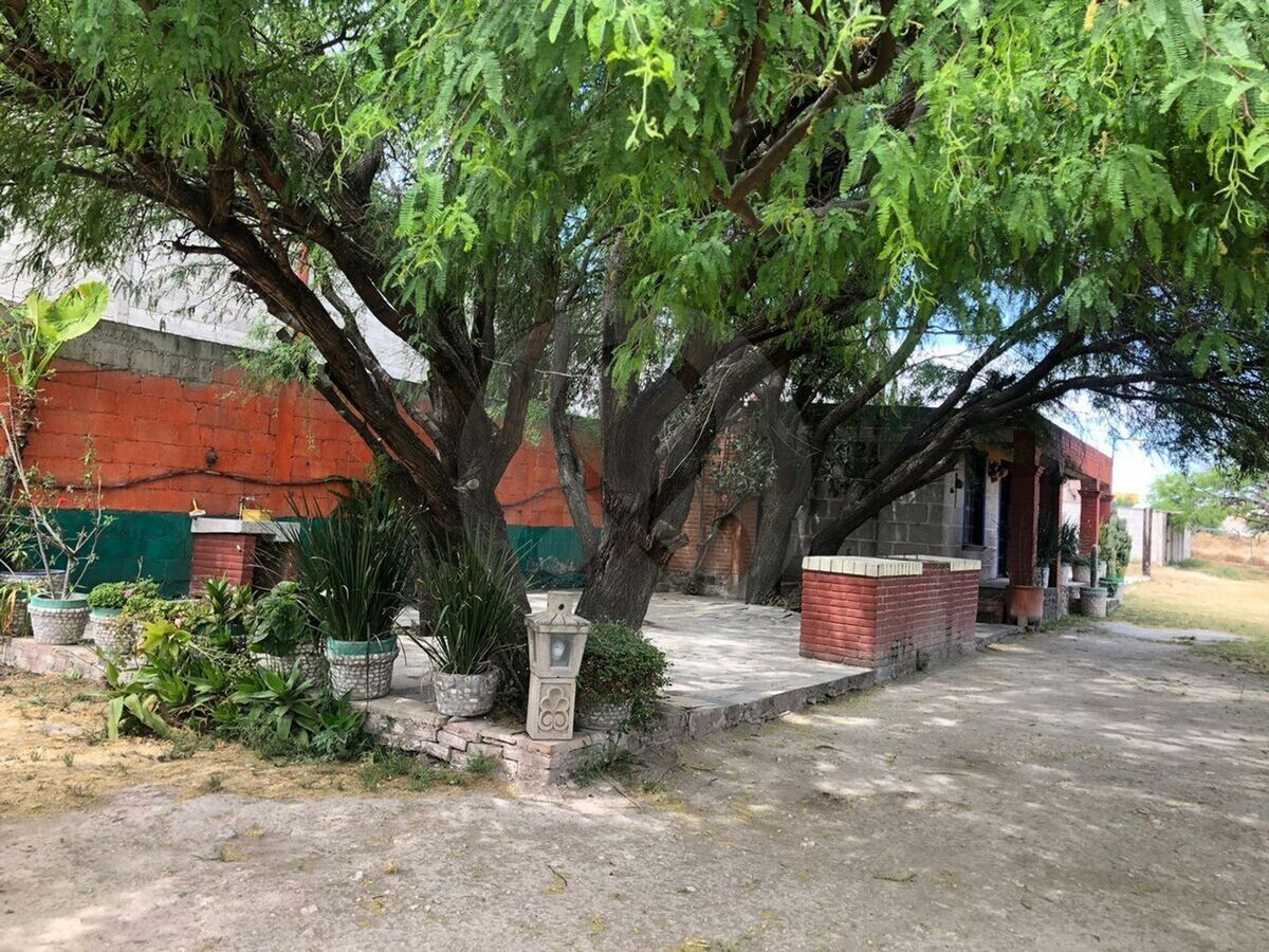 26 de 34