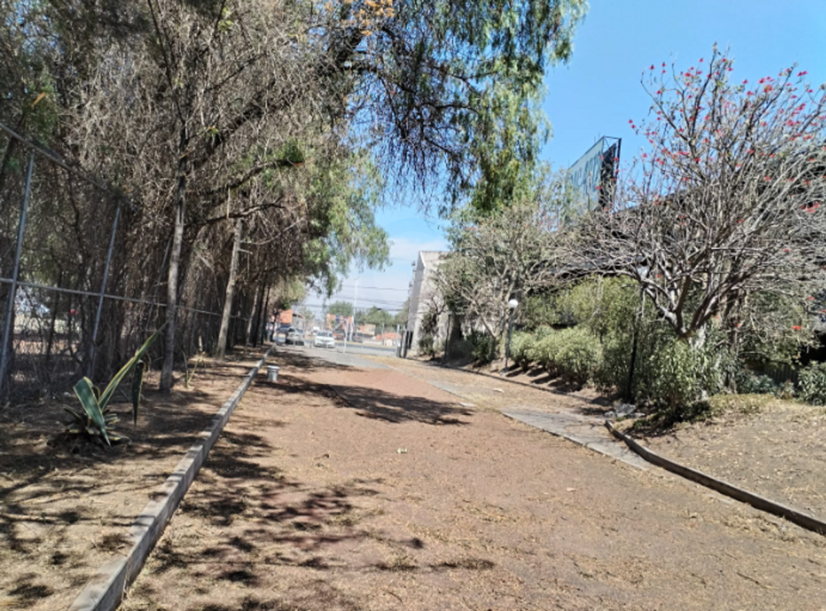 10 de 14