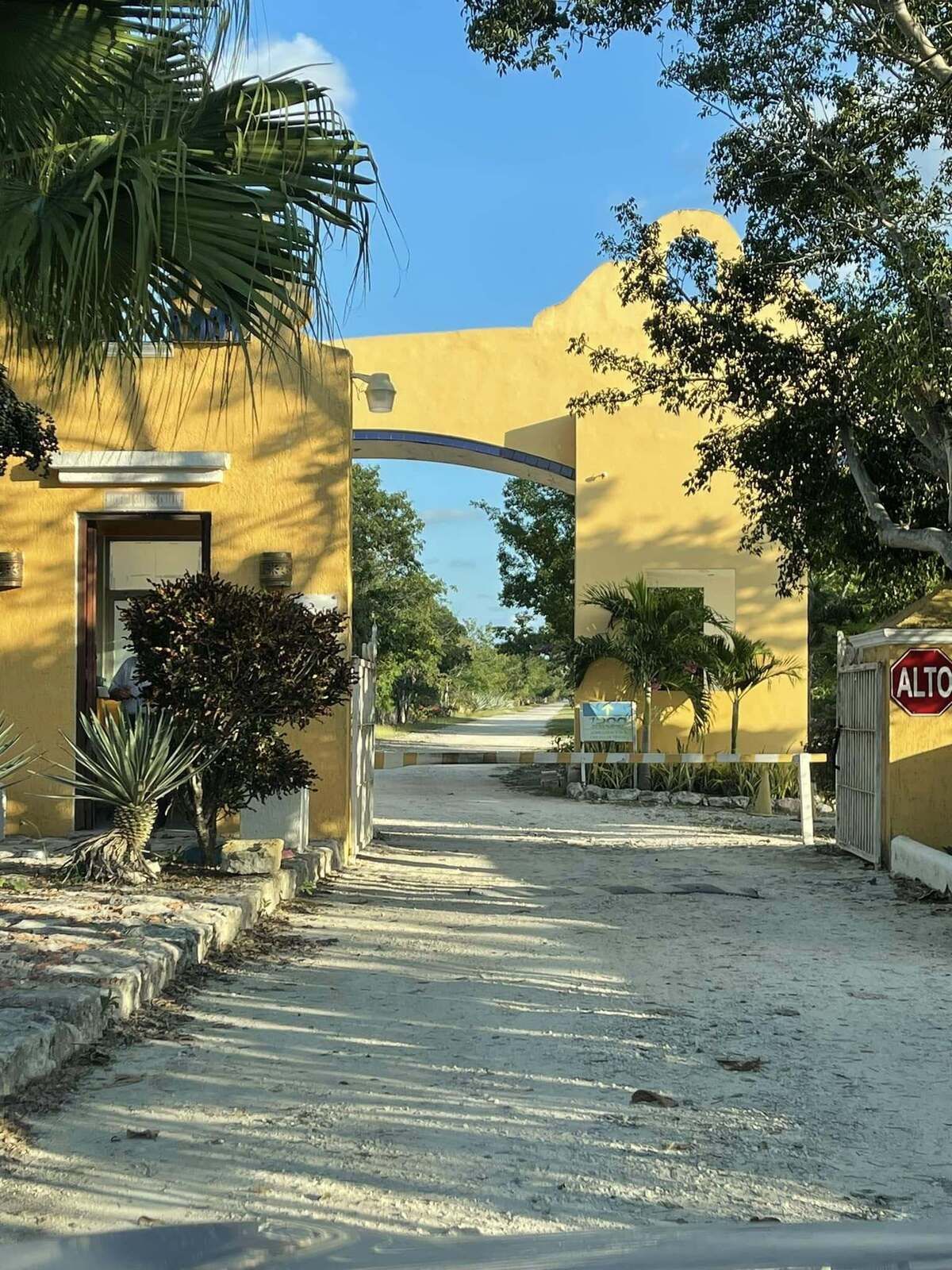 4 de 8