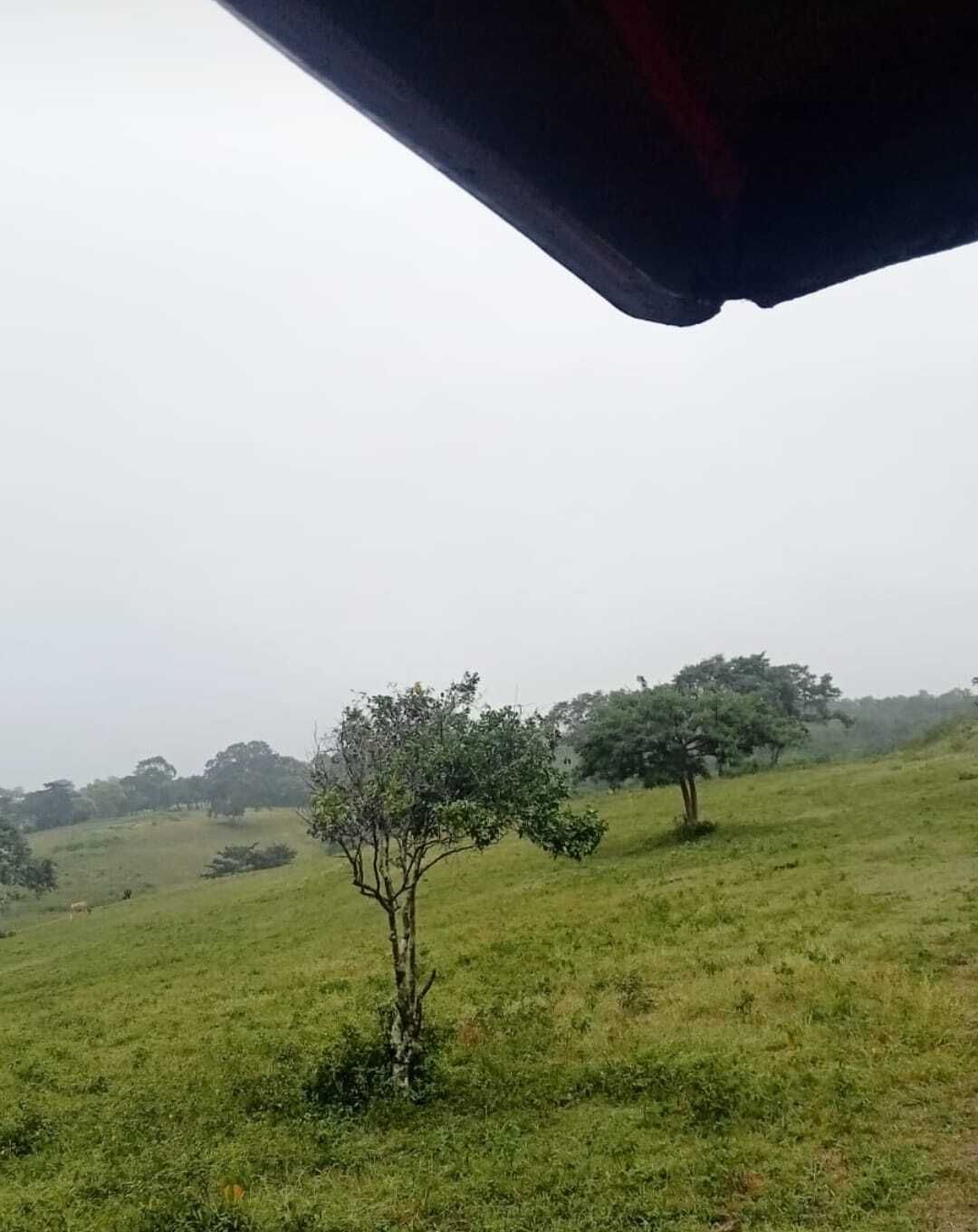 3 de 3