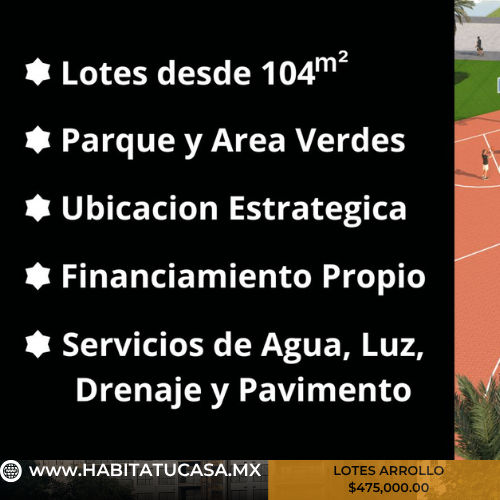 5 de 6