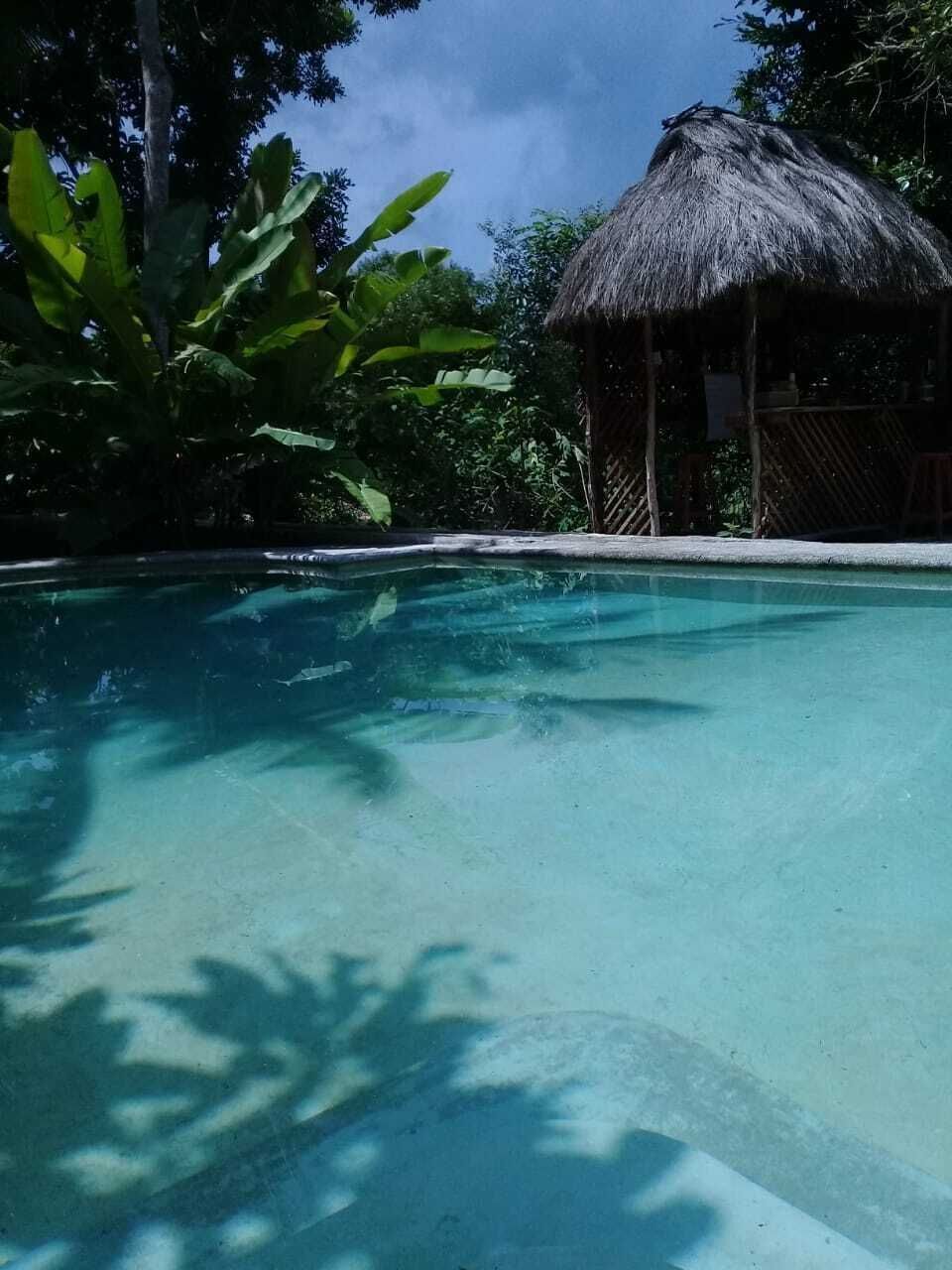 8 de 18
