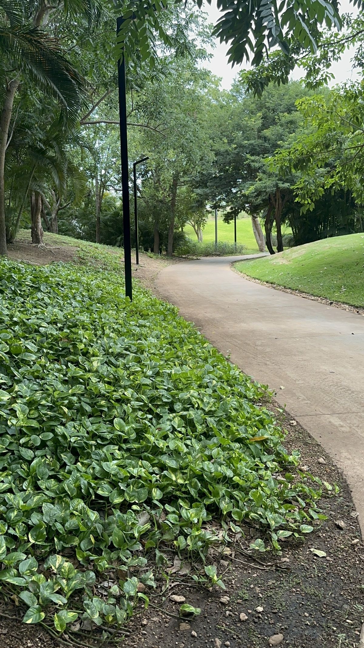 37 de 50