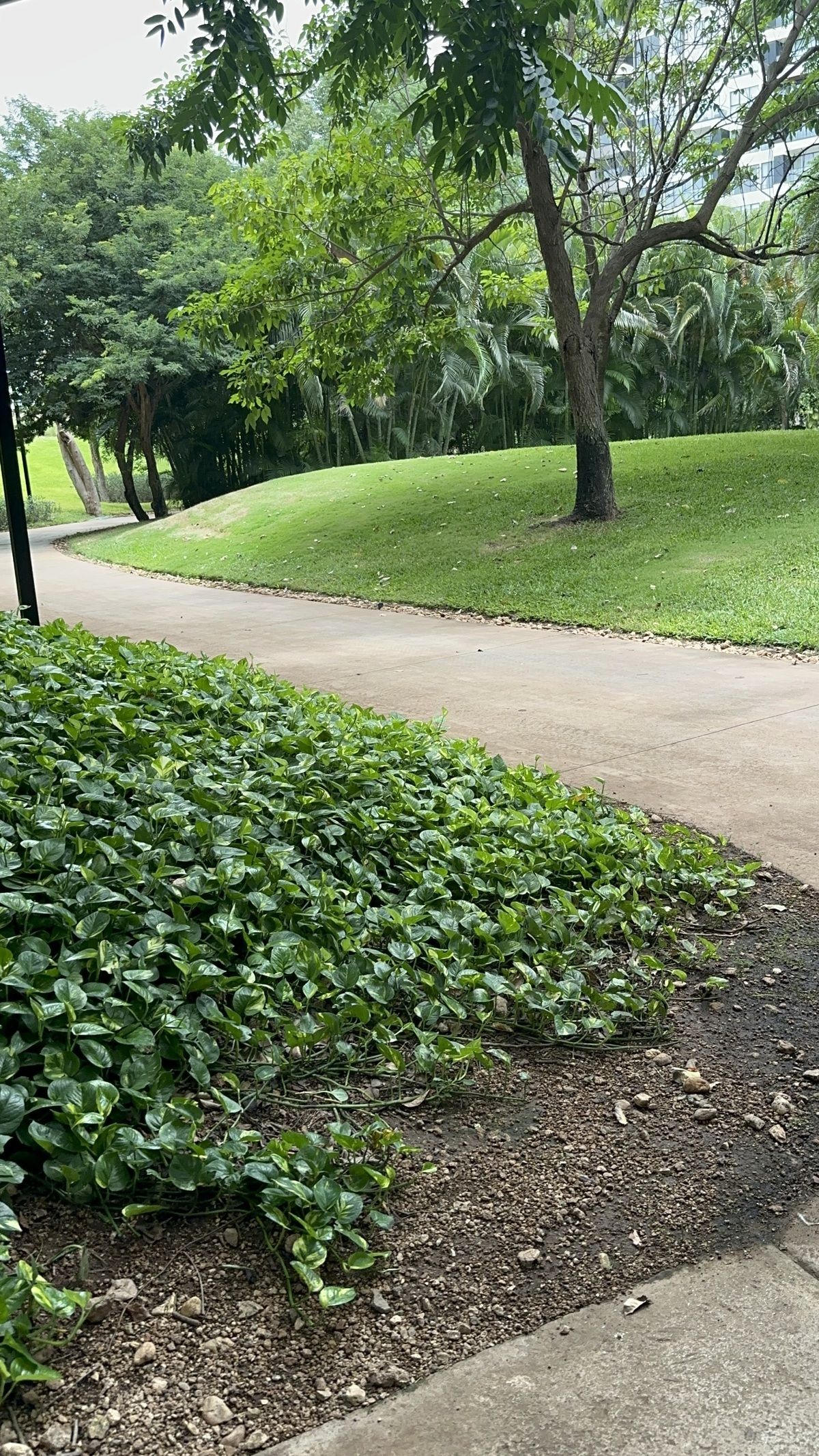 43 de 50