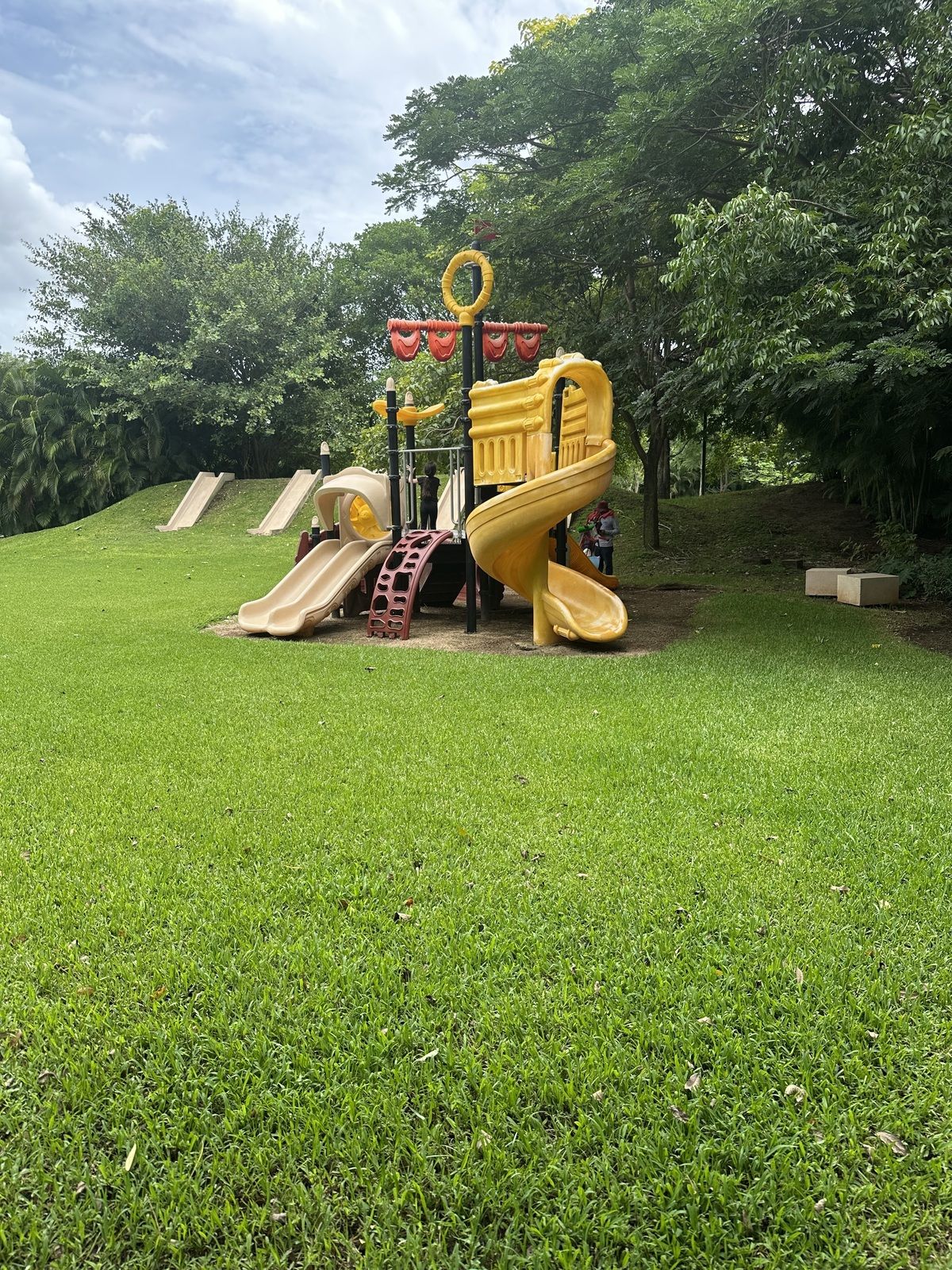 45 de 50