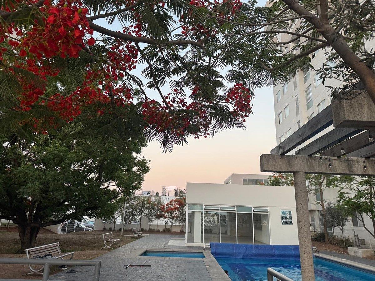 Apartment in Lomas de Independencia, Guadalajara, photo 19 of 35