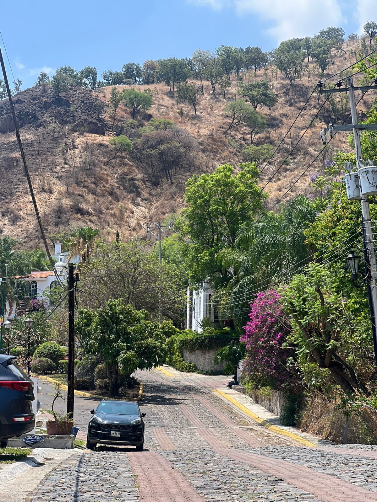 3 de 8