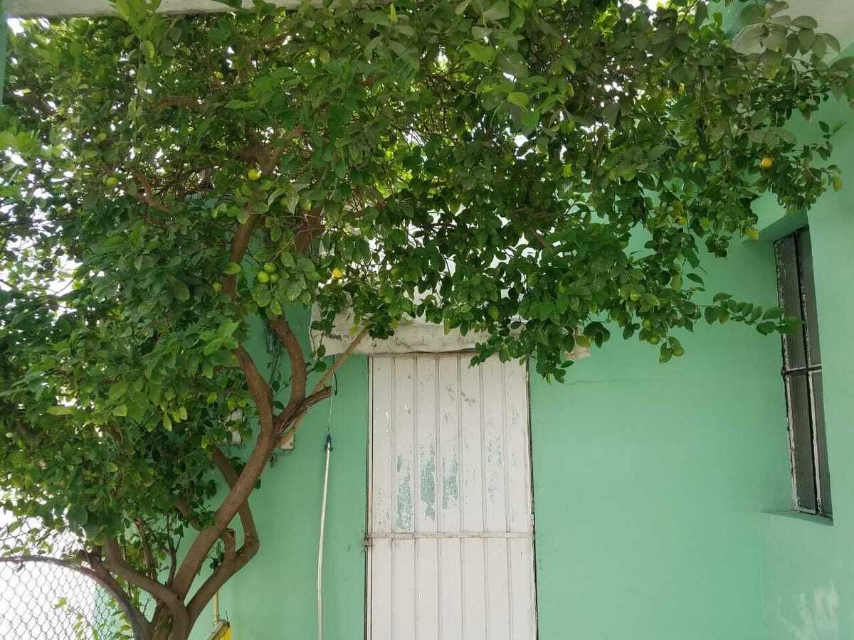 5 de 40