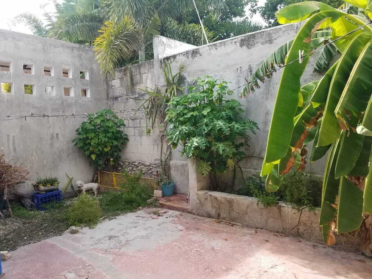 37 de 40