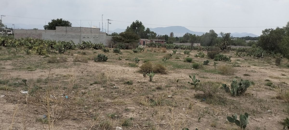 4 de 10