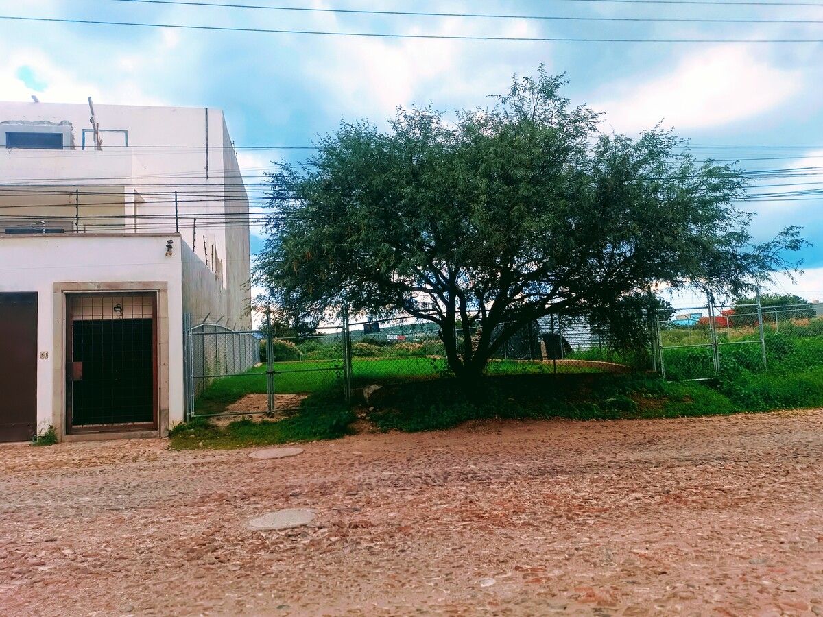 1 de 7