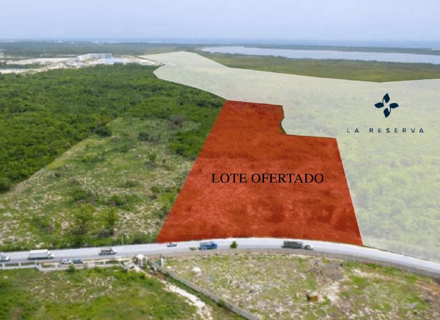 4 de 8: LOTE
