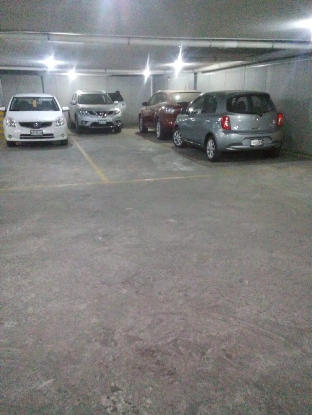 11 de 11